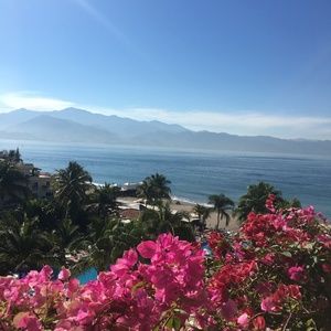 Meet your Posher, Pam